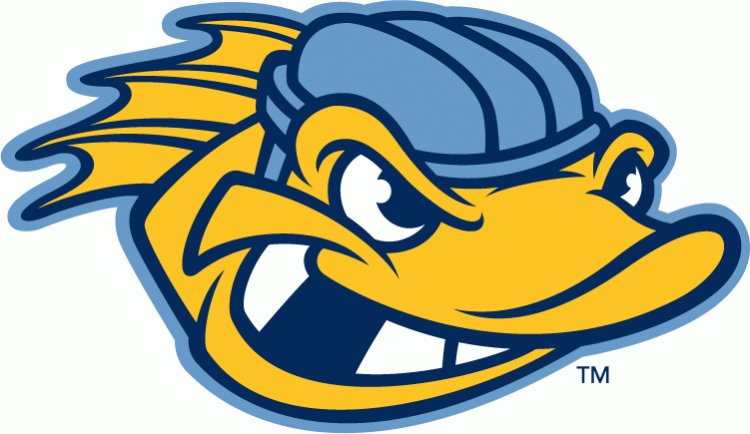 toledo walleye 2009-pres alternate logo v4 iron on transfers for clothing